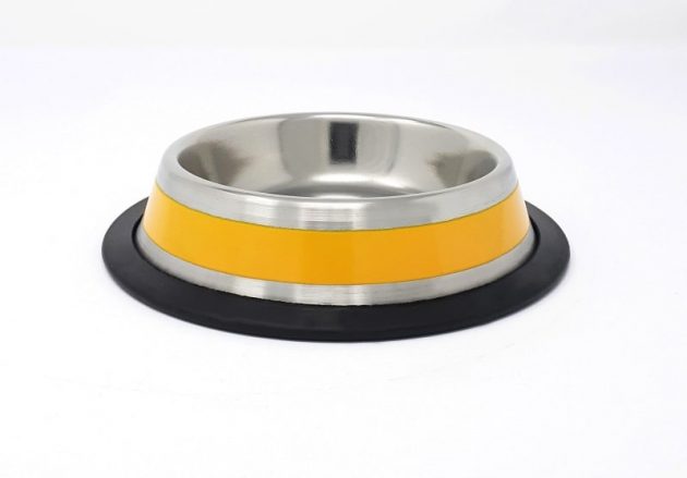 Color Striped Pet Bowl